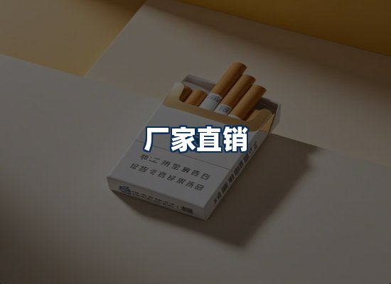 专业团队办公环境